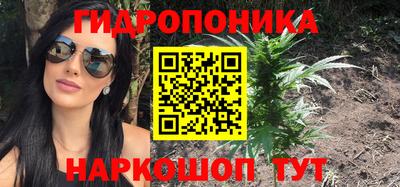 прущие грибы Мариинск