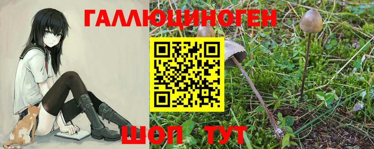 Псилоцибиновые грибы Magic Shrooms Димитровград