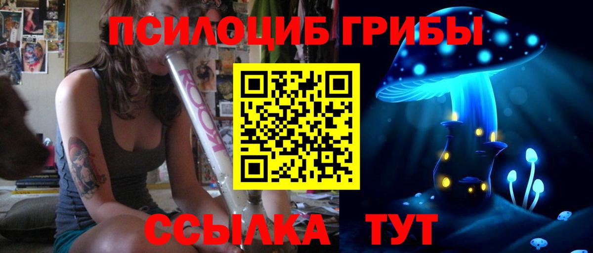 Псилоцибиновые грибы MAGIC MUSHROOMS  Вход с VPN  Галлюциногенные грибы прущие грибы  Димитровград 